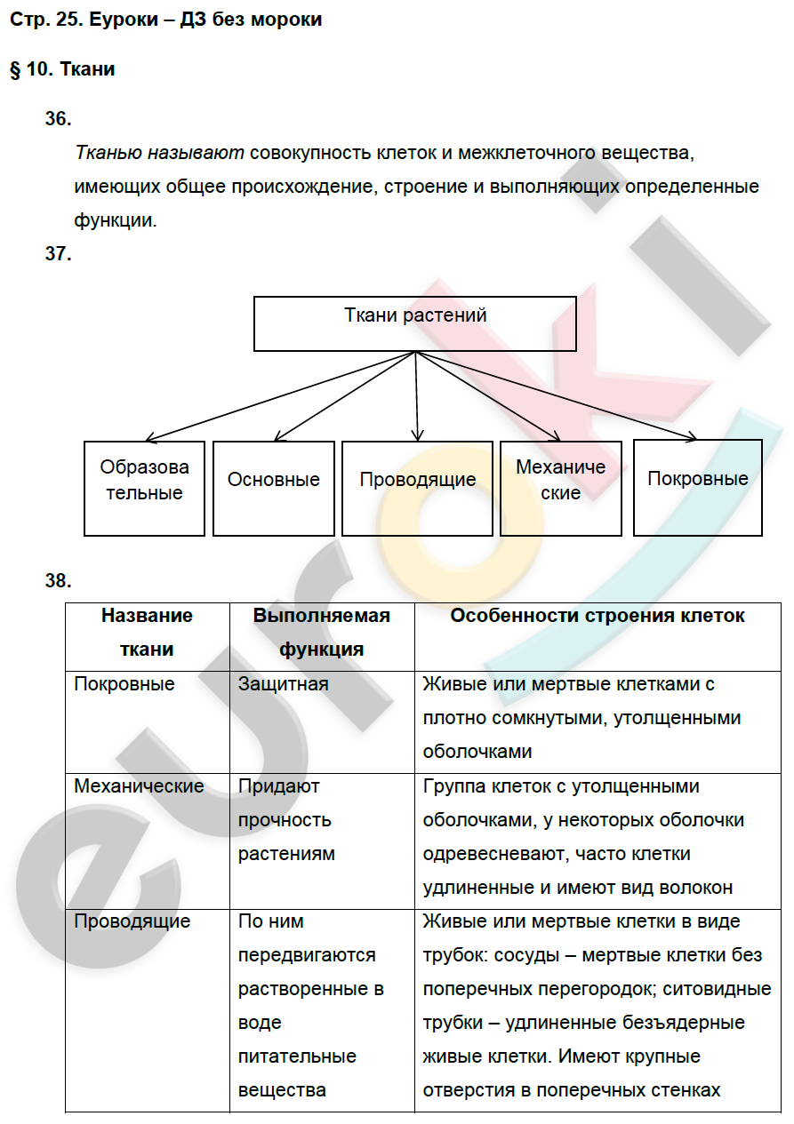 Паспорт по биологии 5 класс. Гдз по биологии 5 класс рабочая тетрадь номер 74.