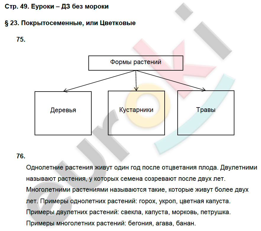 Технологическая карта урока по биологии 5 класс фгос пасечник