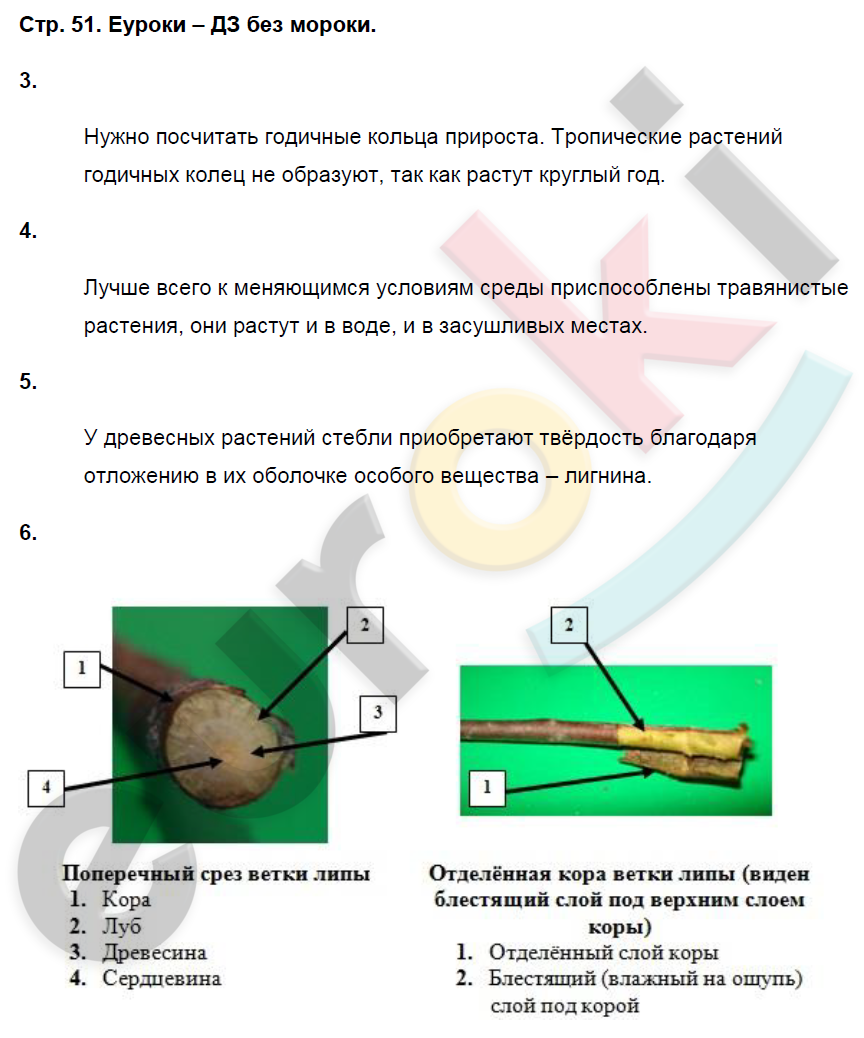 Рабочая тетрадь по биологии 7 класс. ФГОС Пасечник Страница 51