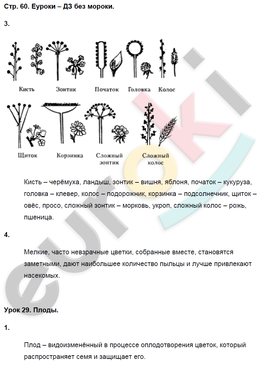 Рабочая тетрадь по биологии 7 класс. ФГОС Пасечник Страница 60