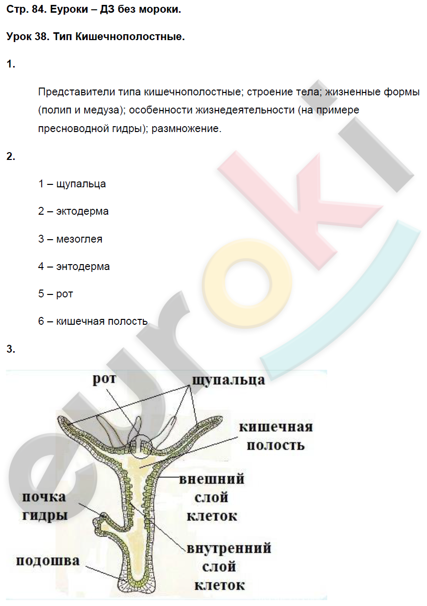 Ответы по биологии 7 класс пасечник. Биология 7 класс Пасечник Суматохин. Гдз по биологии 7 класс линия жизни. Биология 7 класс урок 2. Гдз рабочая тетрадь по биологии седьмой класс Пасечник Суматохин.