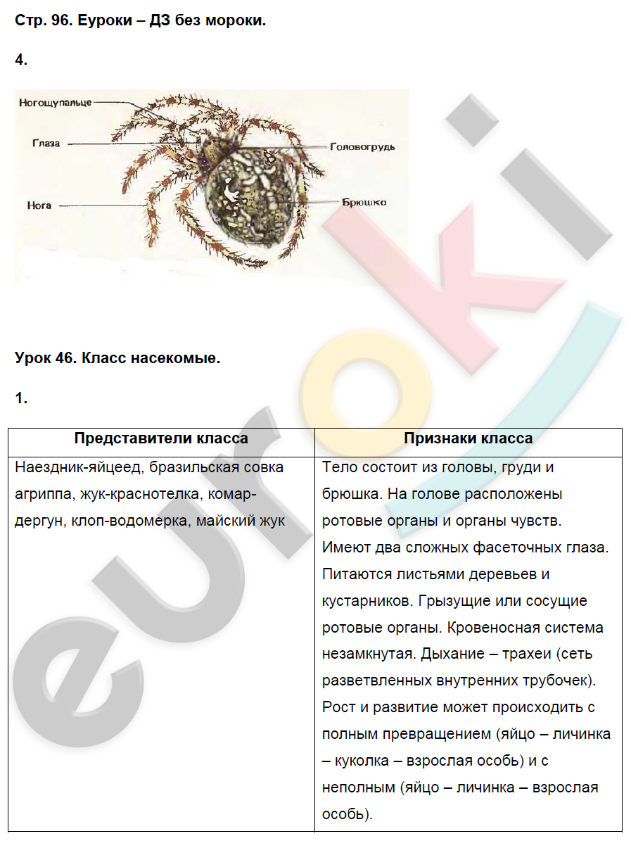 Ответы по биологии 7. Биология 7 класс Пасечник Суматохин. Биология 7 класс рабочая тетрадь Пасечник. Биология 7 класс рабочая тетрадь класс паукообразные гдз. Пасечник 7 класс (биология паукообразные.