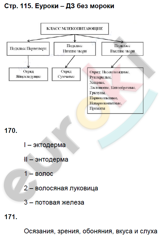 Рабочая тетрадь по биологии 8 класс. ФГОС Захаров, Сонин Страница 115