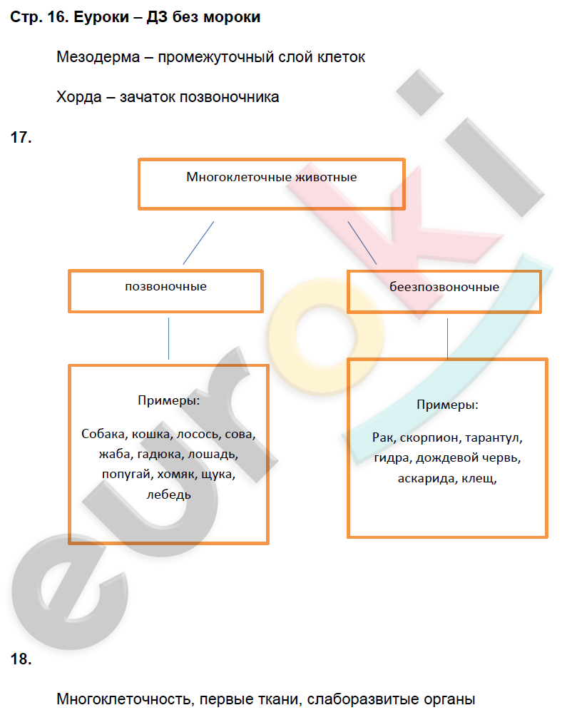 Рабочая тетрадь по биологии 8 класс. ФГОС Захаров, Сонин Страница 16