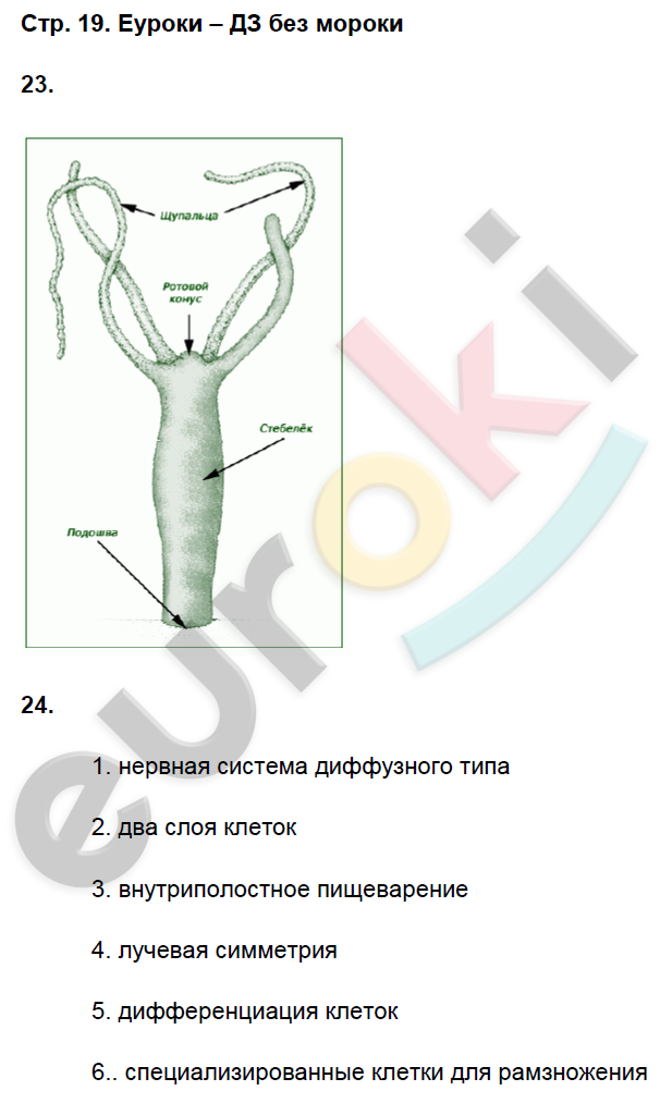 Рабочая тетрадь по биологии 8 класс. ФГОС Захаров, Сонин Страница 19