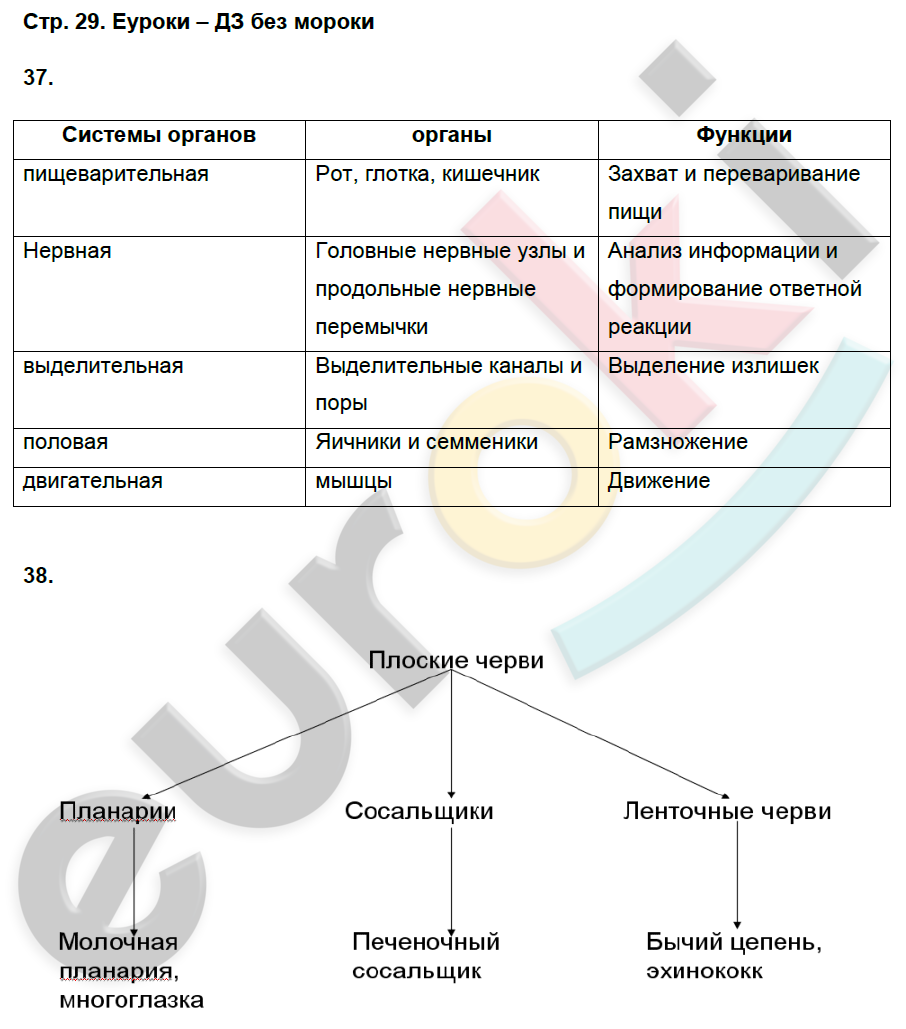 Рабочая тетрадь по биологии 8 класс. ФГОС Захаров, Сонин Страница 29