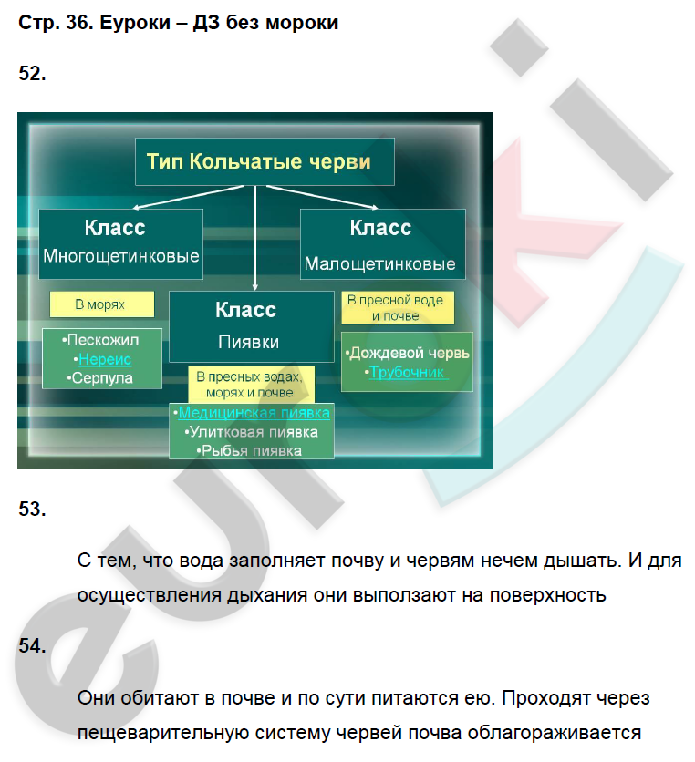 Рабочая тетрадь по биологии 8 класс. ФГОС Захаров, Сонин Страница 36