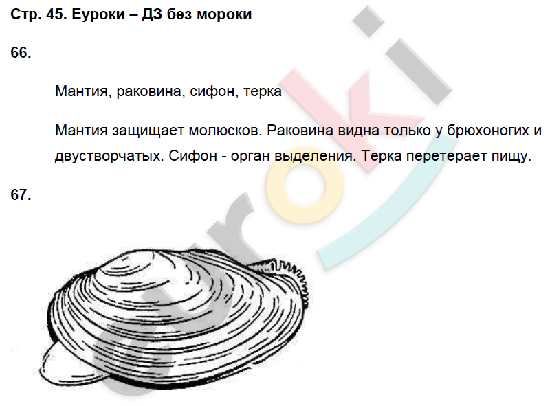 Рабочая тетрадь по биологии 8 класс. ФГОС Захаров, Сонин Страница 45