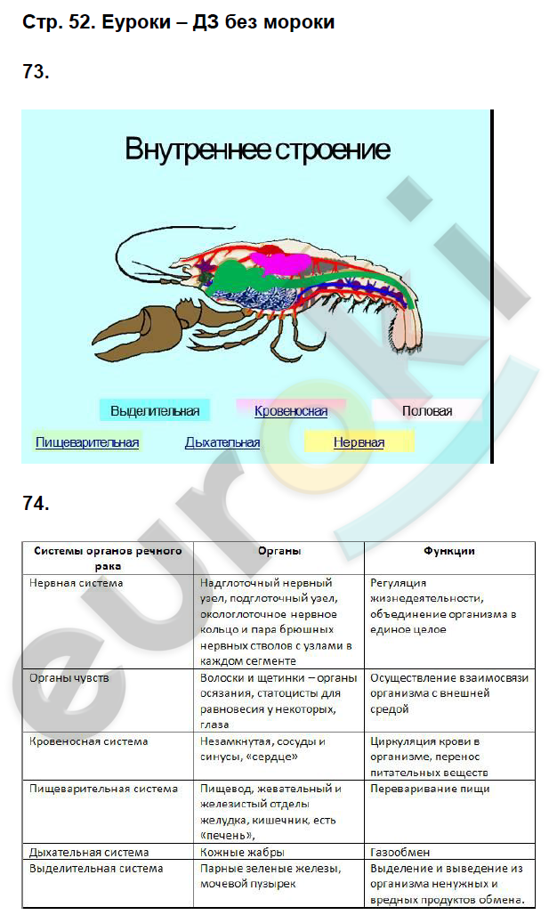 Рабочая тетрадь по биологии 8 класс. ФГОС Захаров, Сонин Страница 52