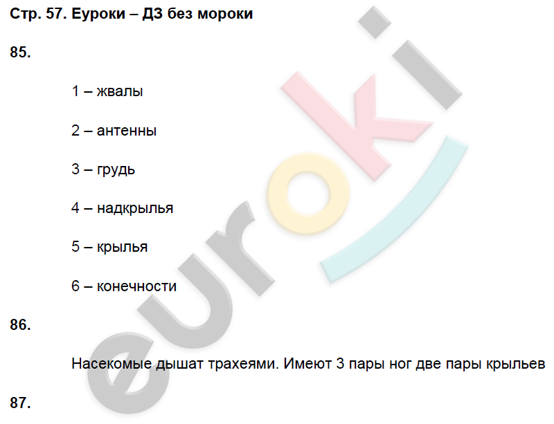 Рабочая тетрадь по биологии 8 класс. ФГОС Захаров, Сонин Страница 57