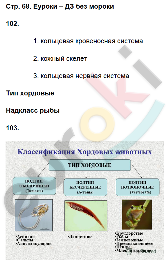 Рабочая тетрадь по биологии 8 класс. ФГОС Захаров, Сонин Страница 68
