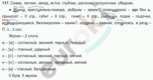 Русский язык 6 класс. Часть 1, 2. ФГОС Баранов, Ладыженская Задание 117