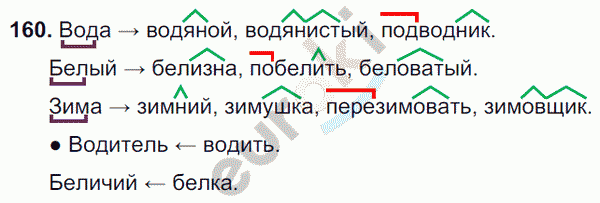Русский язык 6 класс. Часть 1, 2. ФГОС Баранов, Ладыженская Задание 160