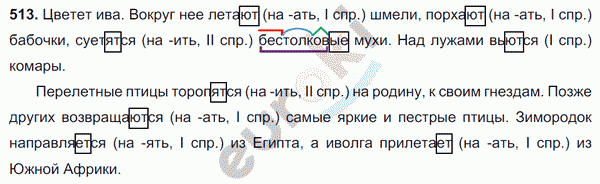 Русский язык 6 класс. Часть 1, 2. ФГОС Баранов, Ладыженская Задание 513