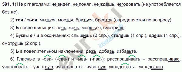 Русский язык 6 класс. Часть 1, 2. ФГОС Баранов, Ладыженская Задание 591