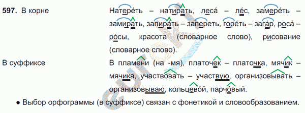 Русский язык 6 класс. Часть 1, 2. ФГОС Баранов, Ладыженская Задание 597