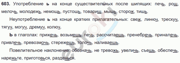 Русский язык 6 класс. Часть 1, 2. ФГОС Баранов, Ладыженская Задание 603