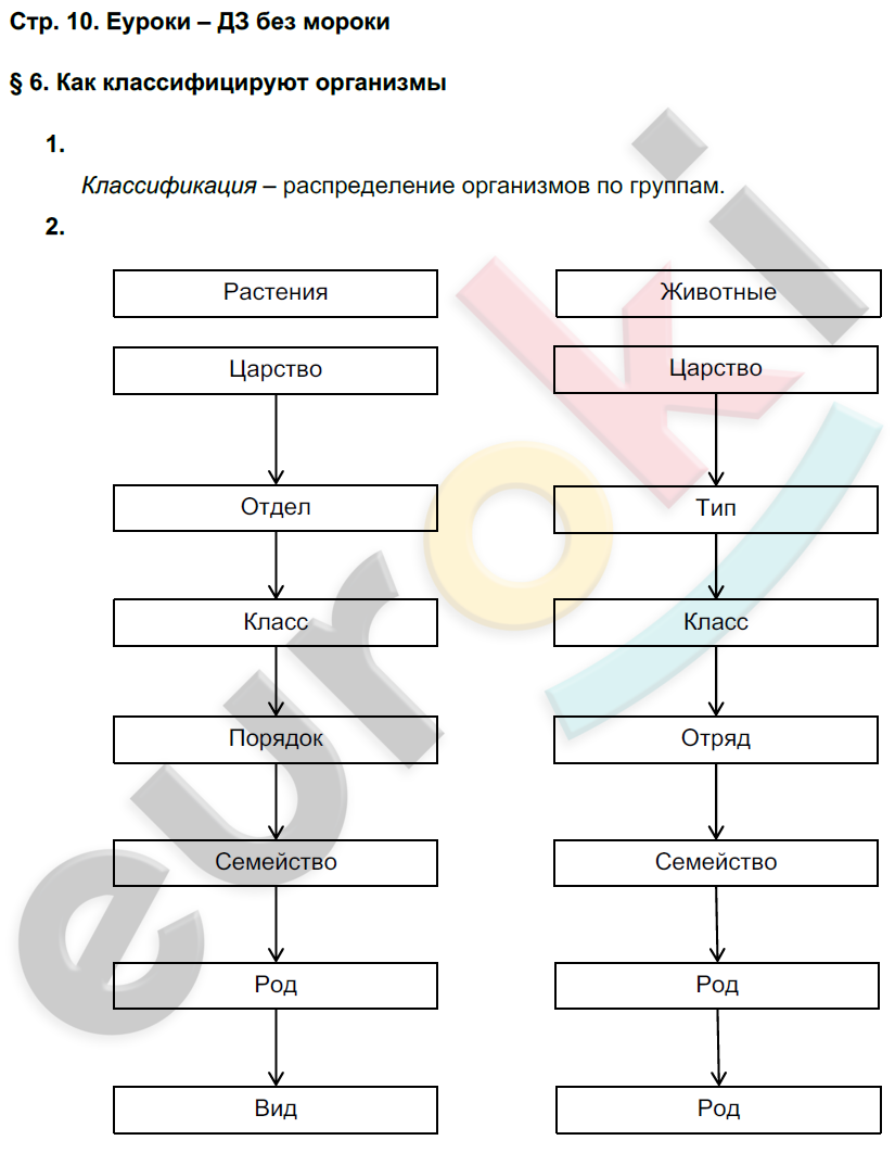 Рабочая тетрадь по биологии 5 класс. ФГОС Новикова, Романова Страница 10