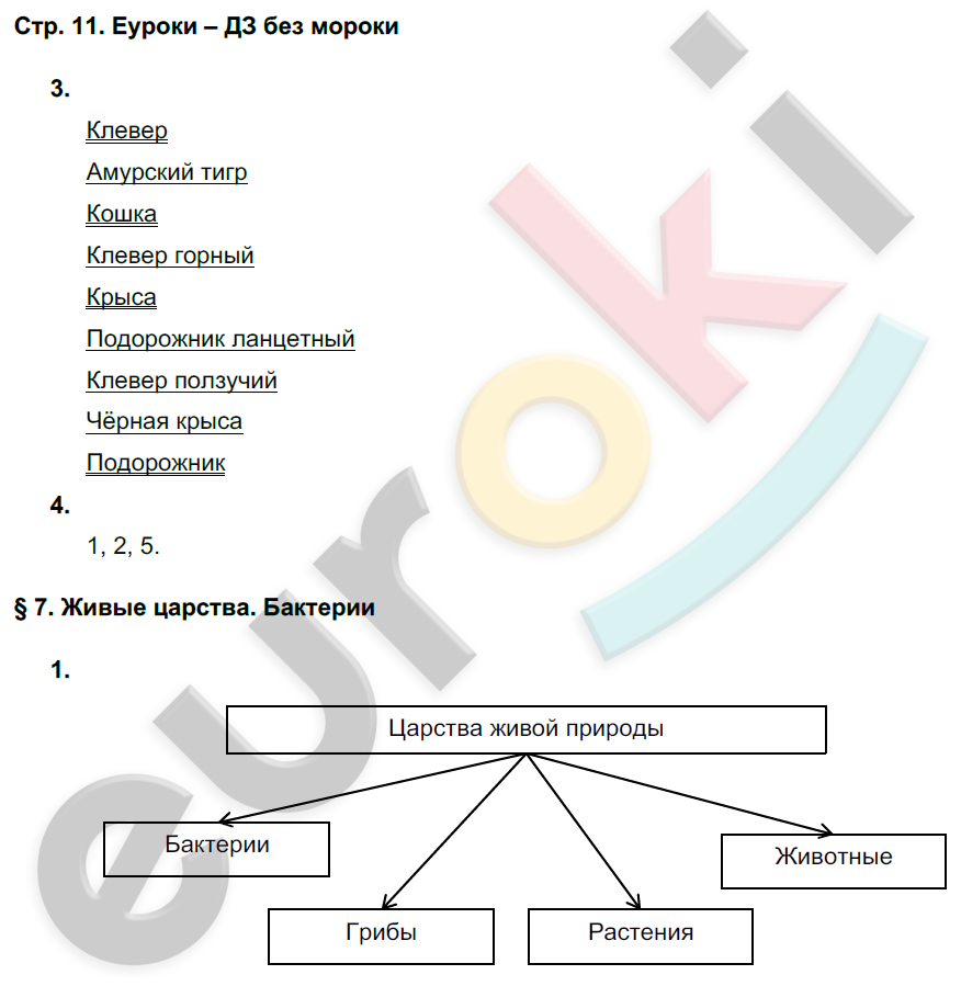 Рабочая тетрадь по биологии 5 класс. ФГОС Новикова, Романова Страница 11