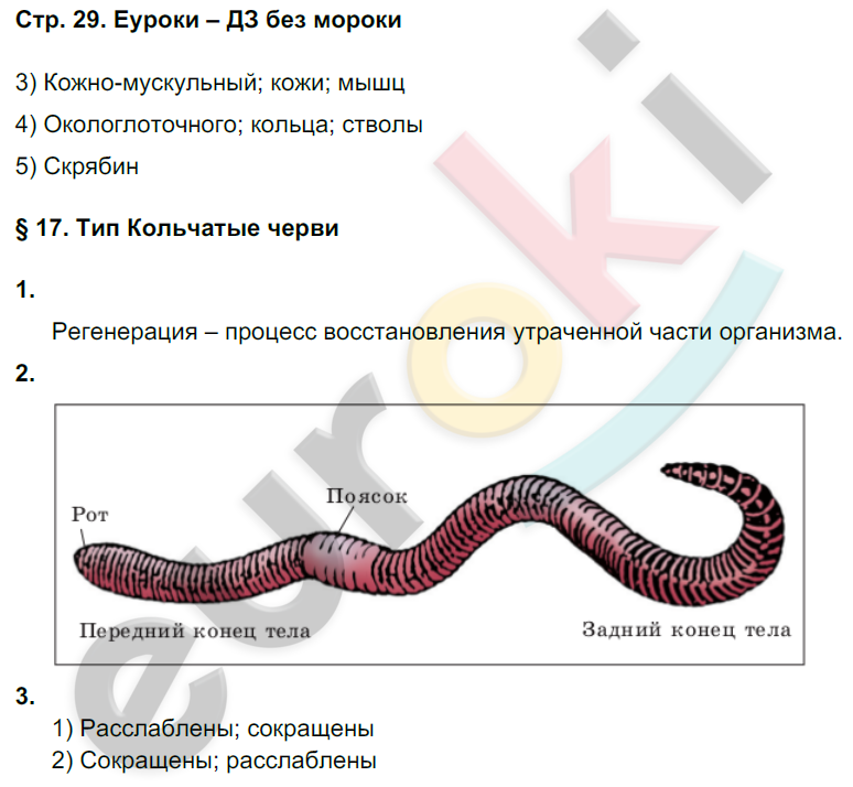 Рабочая тетрадь по биологии 7 класс. ФГОС Тихонова, Романова Страница 29