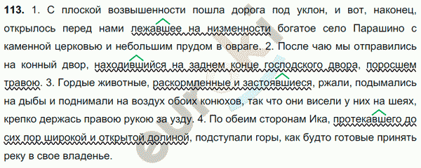 Русский язык 7 класс. ФГОС Баранов, Ладыженская Задание 113