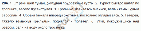 Русский язык 7 класс. ФГОС Баранов, Ладыженская Задание 204