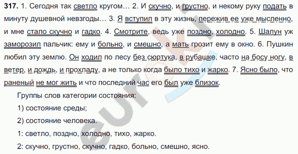 Русский язык 7 класс. ФГОС Баранов, Ладыженская Задание 317