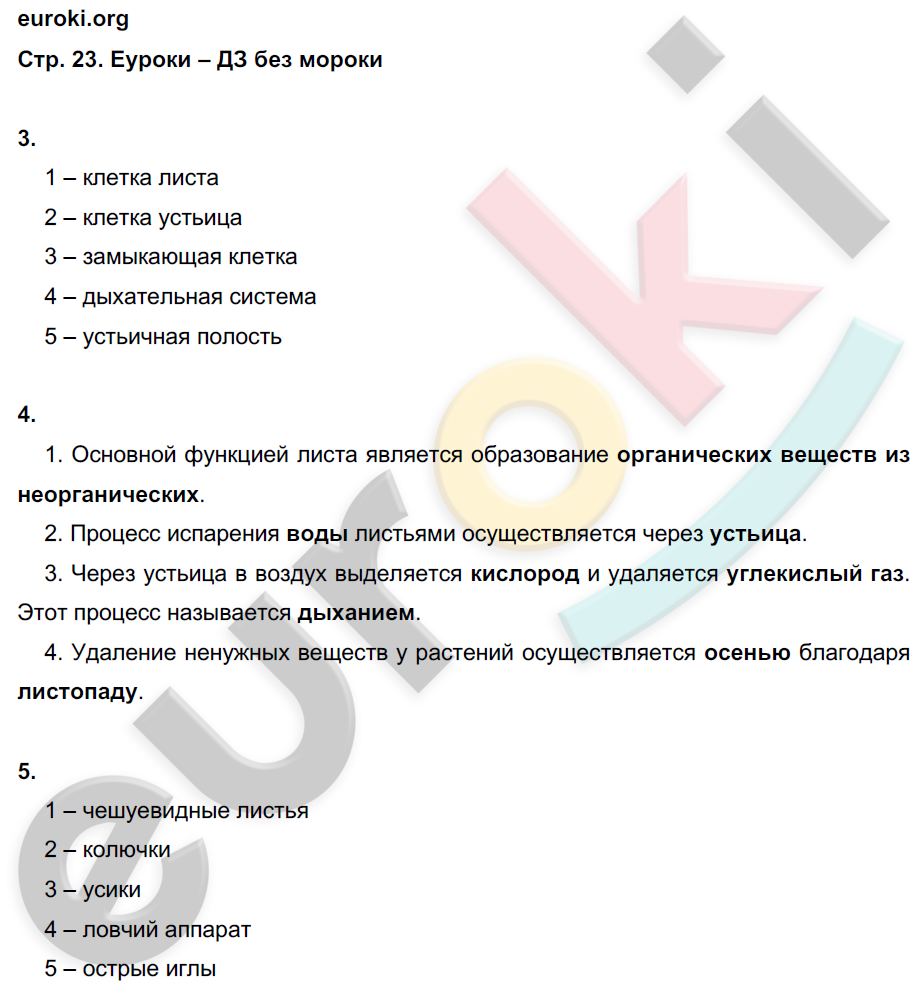 Рабочая тетрадь по биологии 6 класс. Часть 1, 2. ФГОС Пономарева, Корнилова, Кучменко Страница 23