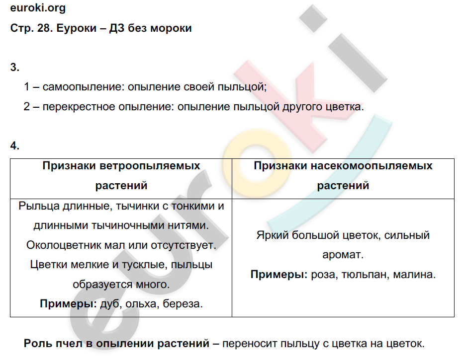 Биология 6 класс лабораторная номер 3. Биология 6 класс Пономарева лабораторная работа номер 4. Гдз по биологии 6 класс Пономарева лабораторная работа 6. Лабораторная работа биология 6 класс Корнилова. Гдз лабораторная работа по биологии 6 класс Пономарева.