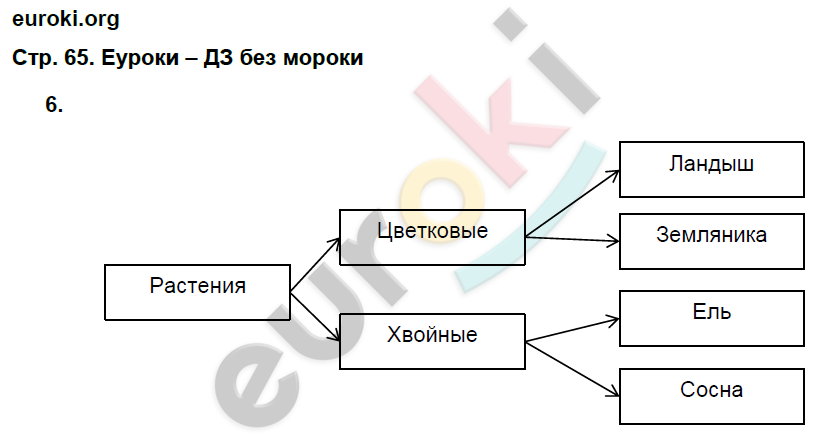 Рабочая тетрадь по естествознанию 5 класс. ФГОС Плешаков, Сонин Страница 65