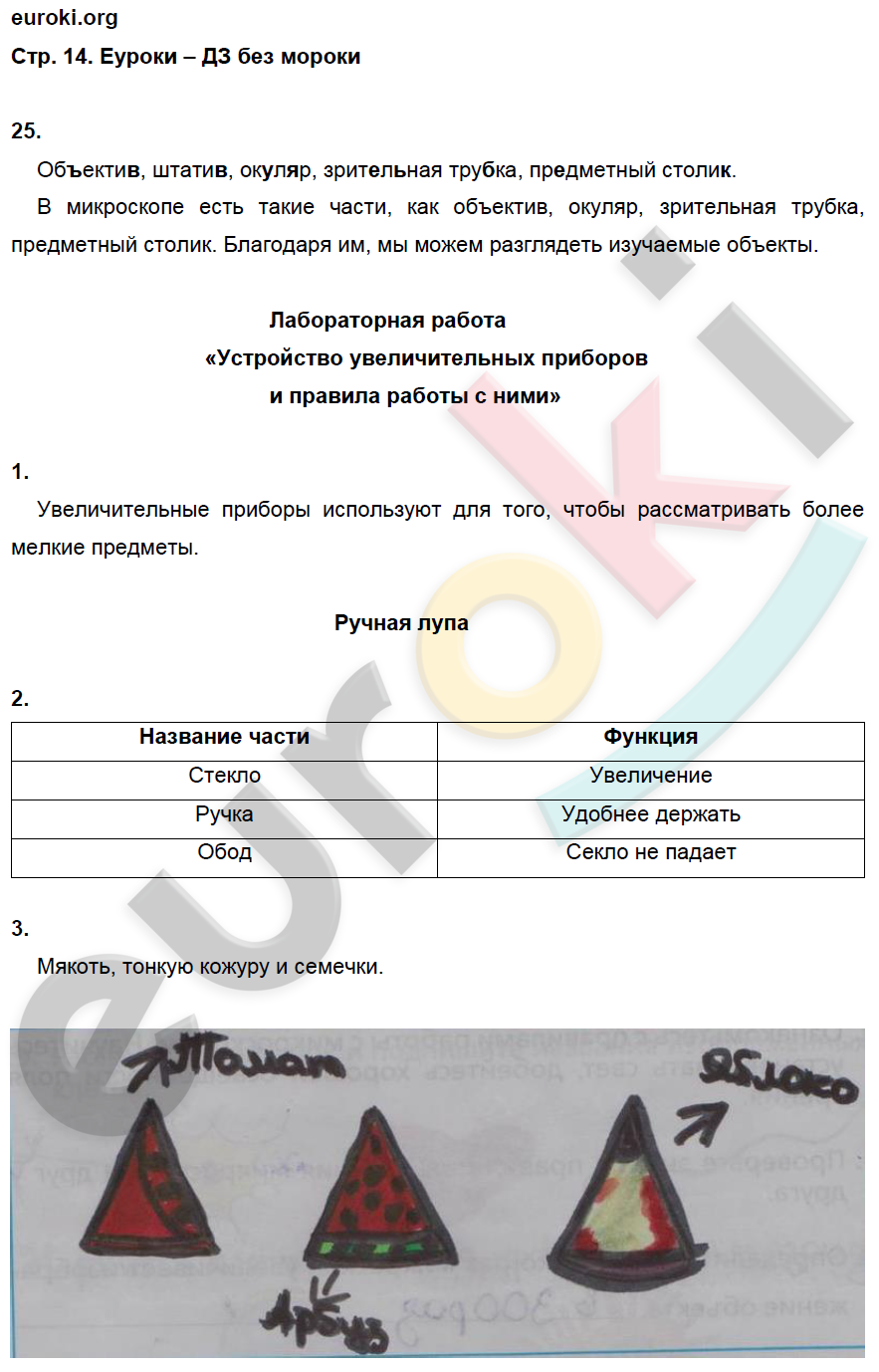 Рабочая тетрадь по биологии 5 класс. ФГОС Сонин Страница 14