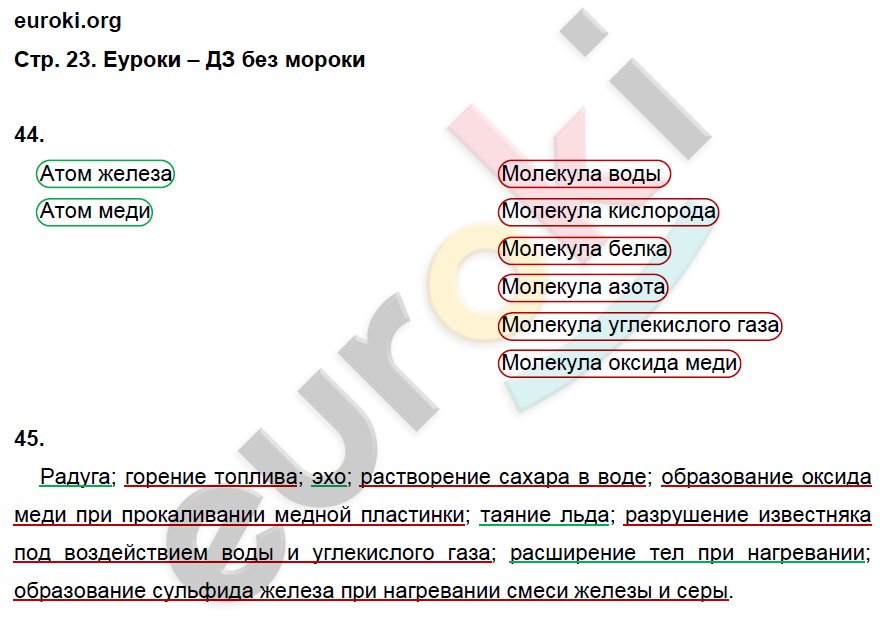 Рабочая тетрадь по биологии 5 класс. ФГОС Сонин Страница 23