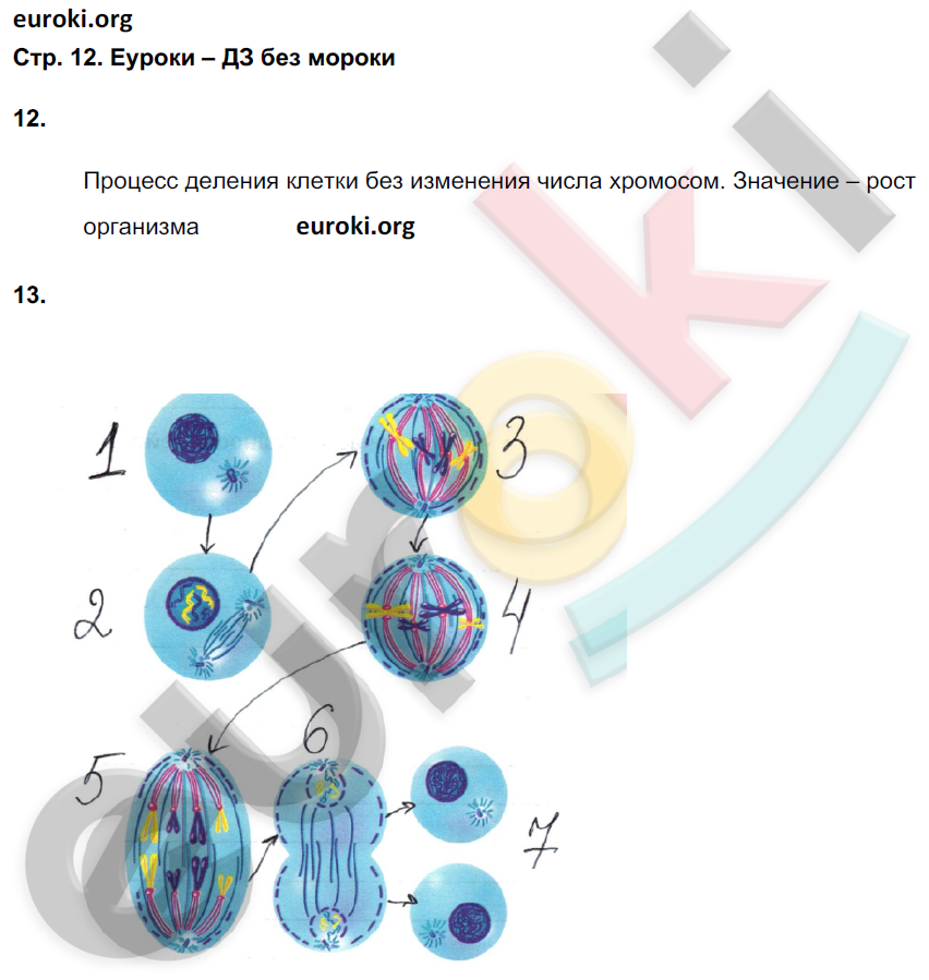 Биология 6 фгос