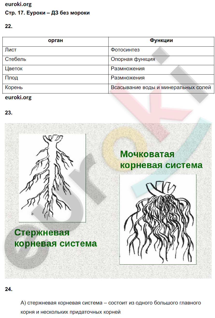Рабочая тетрадь по биологии 6 класс. ФГОС Сонин (с белкой) Страница 17