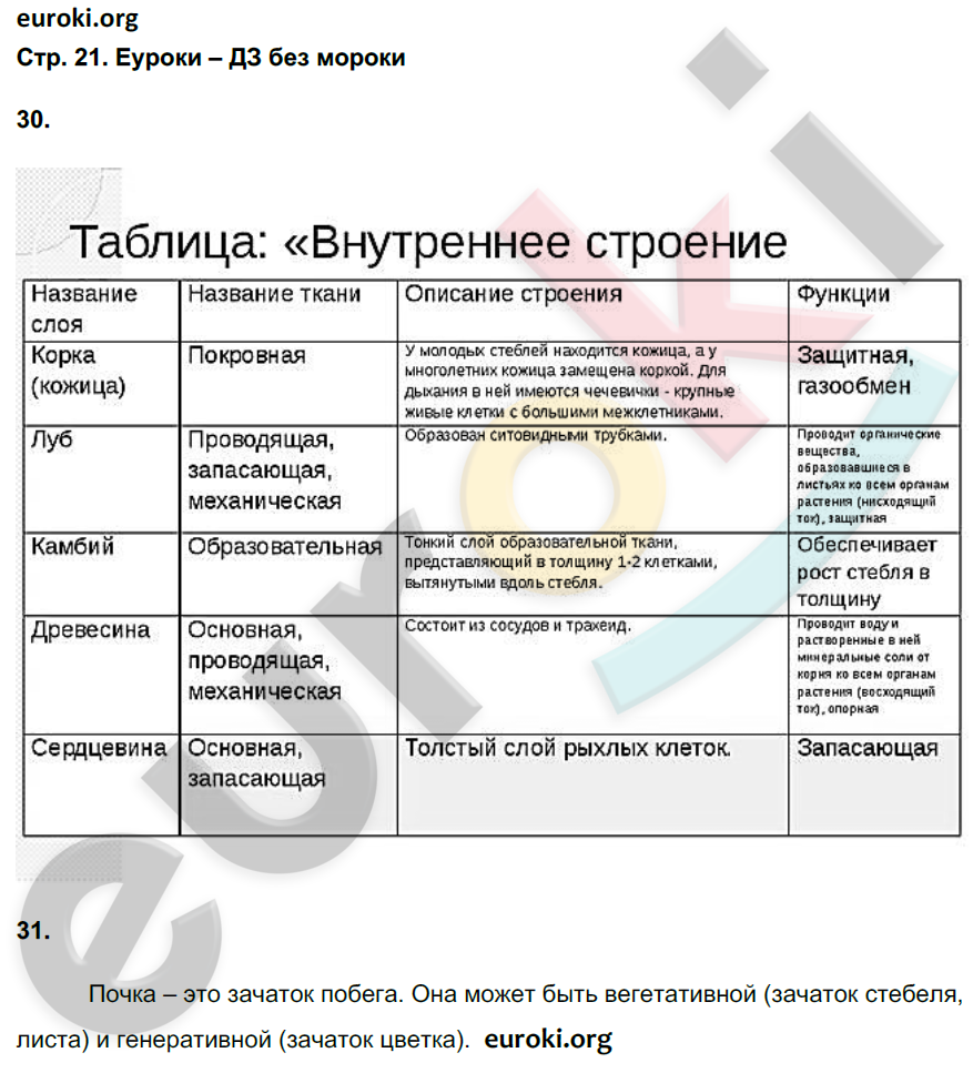 Рабочая тетрадь по биологии 6 класс. ФГОС Сонин (с белкой) Страница 21