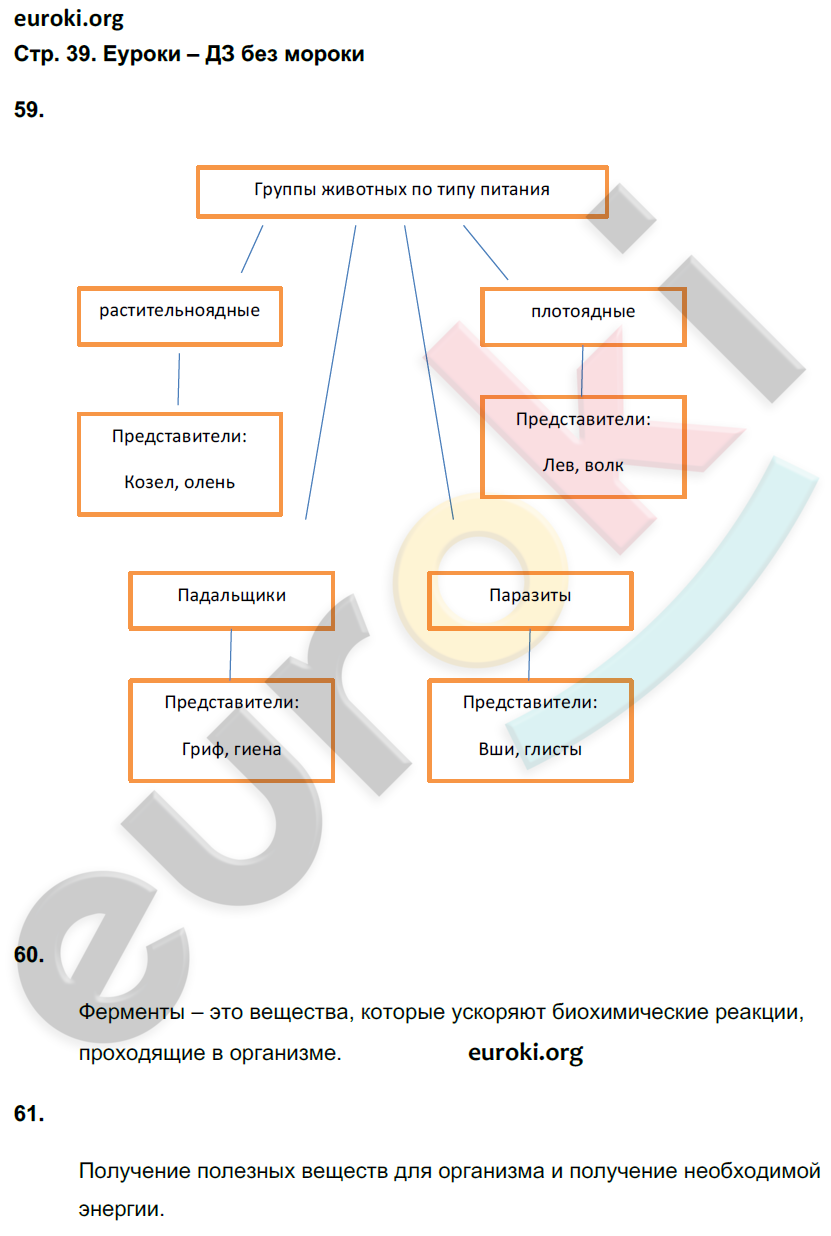 Рабочая тетрадь по биологии 6 класс. ФГОС Сонин (с белкой) Страница 39