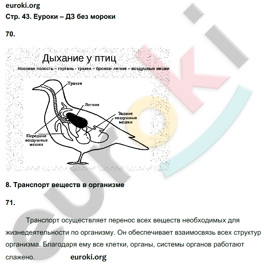 Рабочая тетрадь по биологии 6 класс. ФГОС Сонин (с белкой) Страница 43