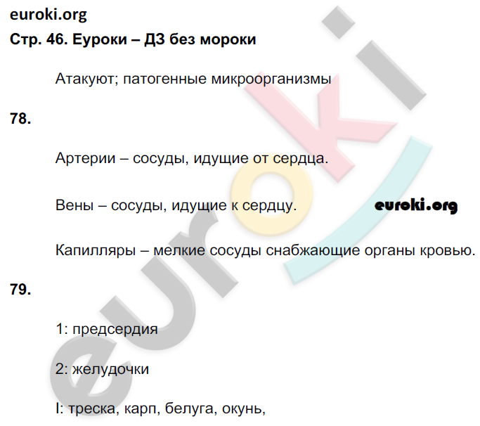 Рабочая тетрадь по биологии 6 класс. ФГОС Сонин (с белкой) Страница 46