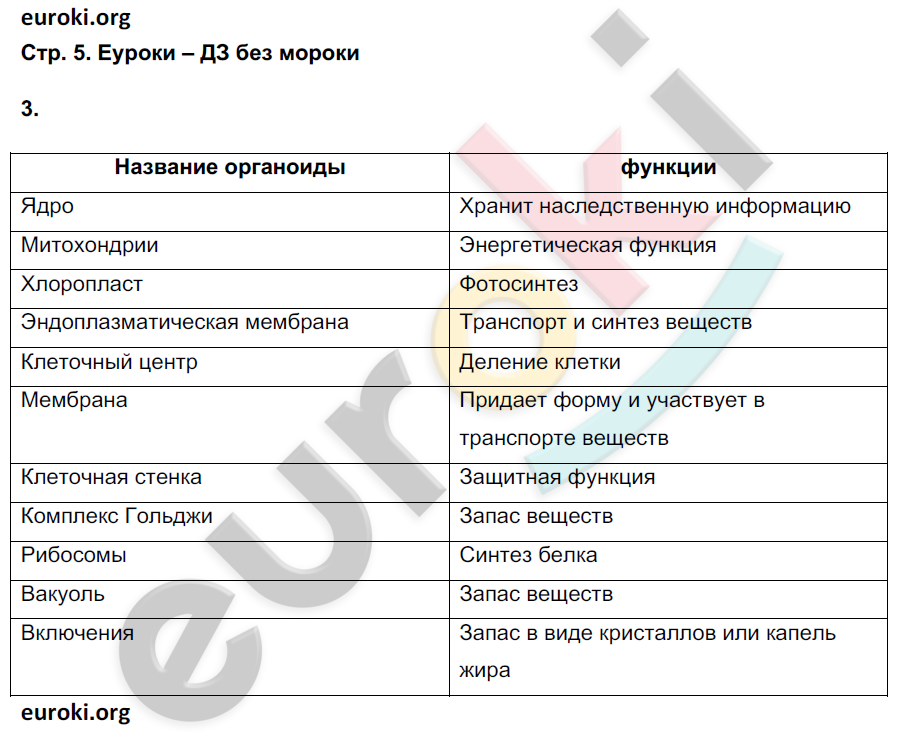 Рабочая тетрадь по биологии 6 класс. ФГОС Сонин (с белкой) Страница 5