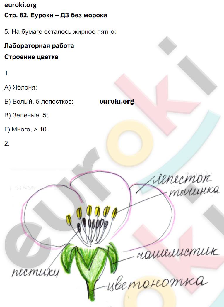 Найти ответы по фото биология 6 класс