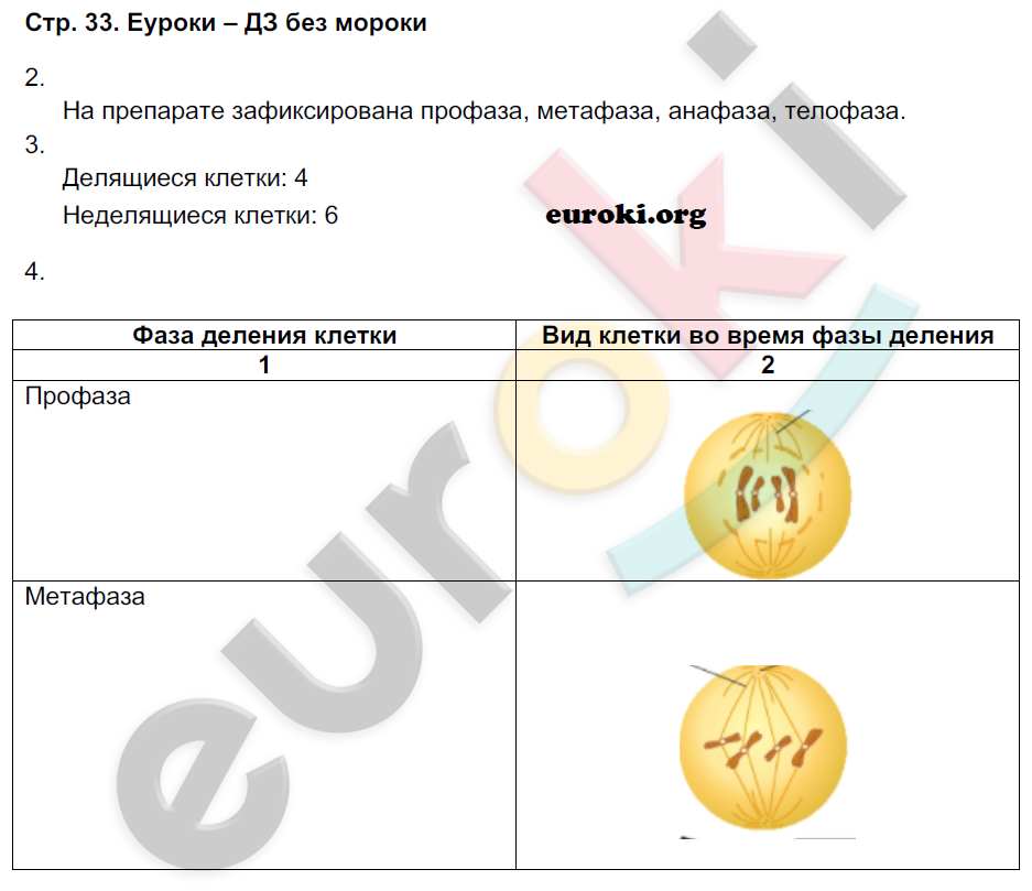 Рабочая тетрадь по биологии 9 класс Пономарева, Панина Страница 33