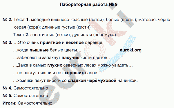 Русский язык 5 класс. Тематический контроль Гулеватая, Соловьева, Цыбулько Вариант 2