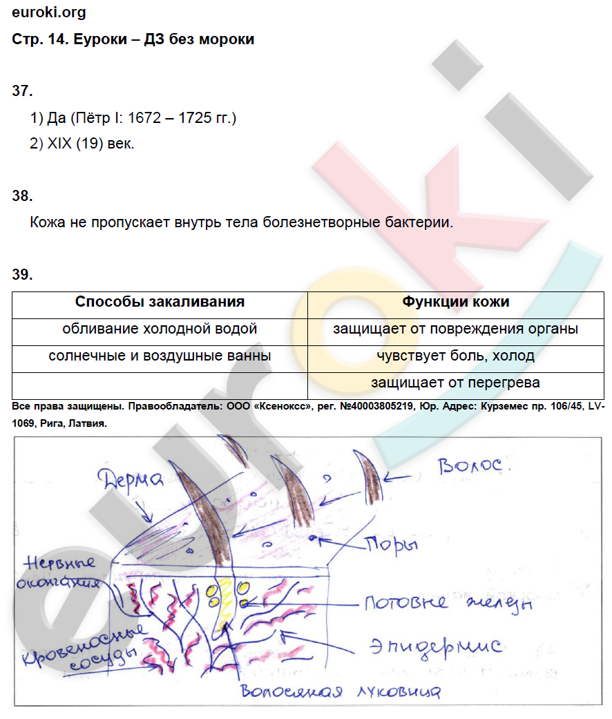 Рабочая тетрадь по окружающему миру 4 класс. Часть 1, 2. ФГОС Виноградова, Калинова Страница 14