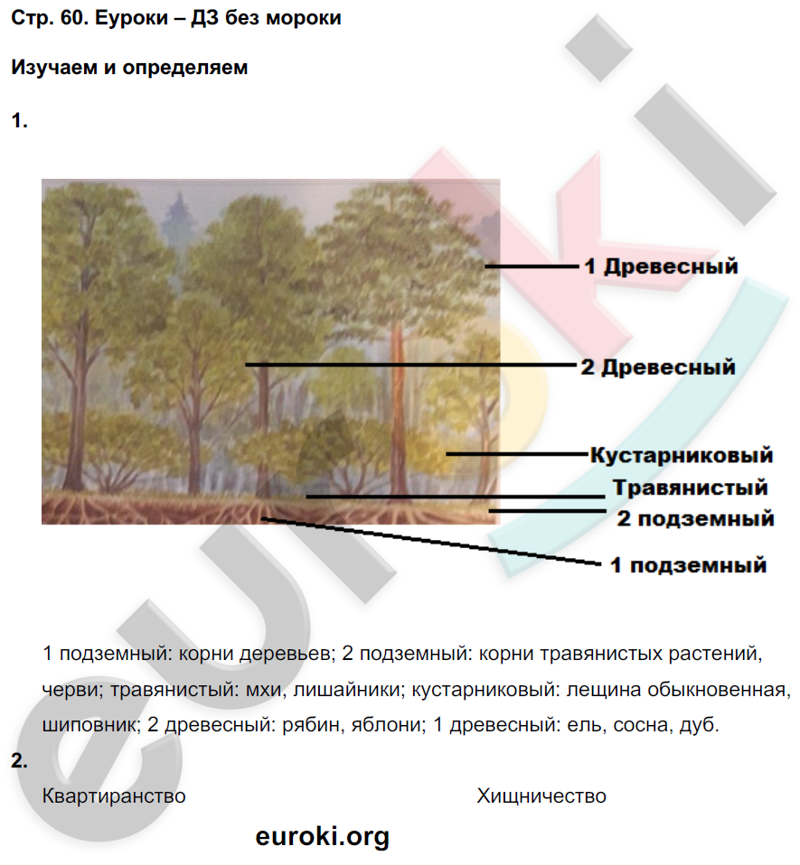 Тетрадь-тренажёр по биологии 9 класс Сухорукова, Кучменко, Матюшенко Страница 60