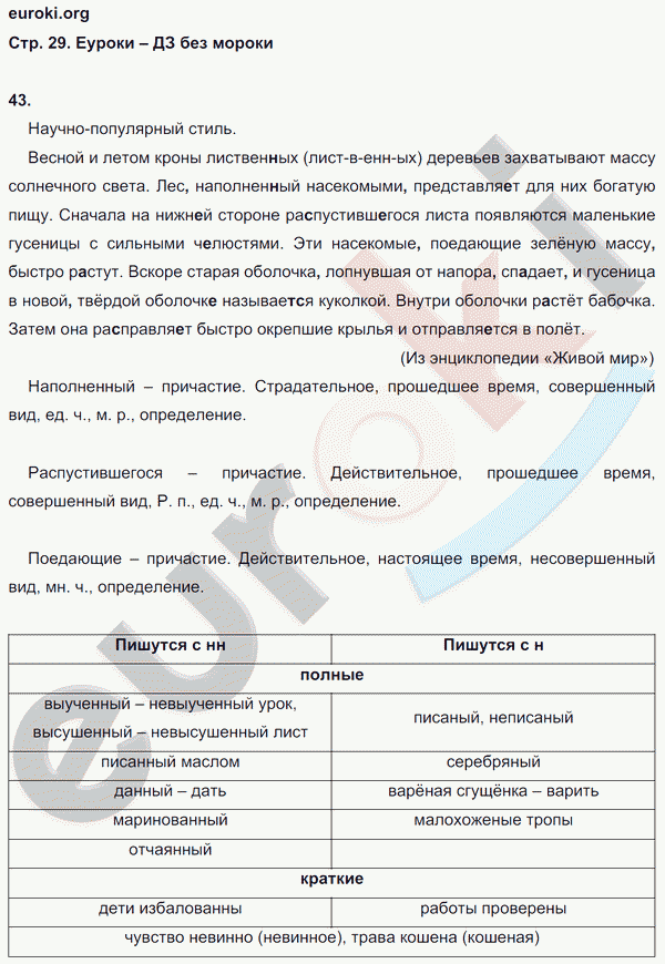 Рабочая тетрадь по русскому языку 7 класс. ФГОС Ефремова Страница 29