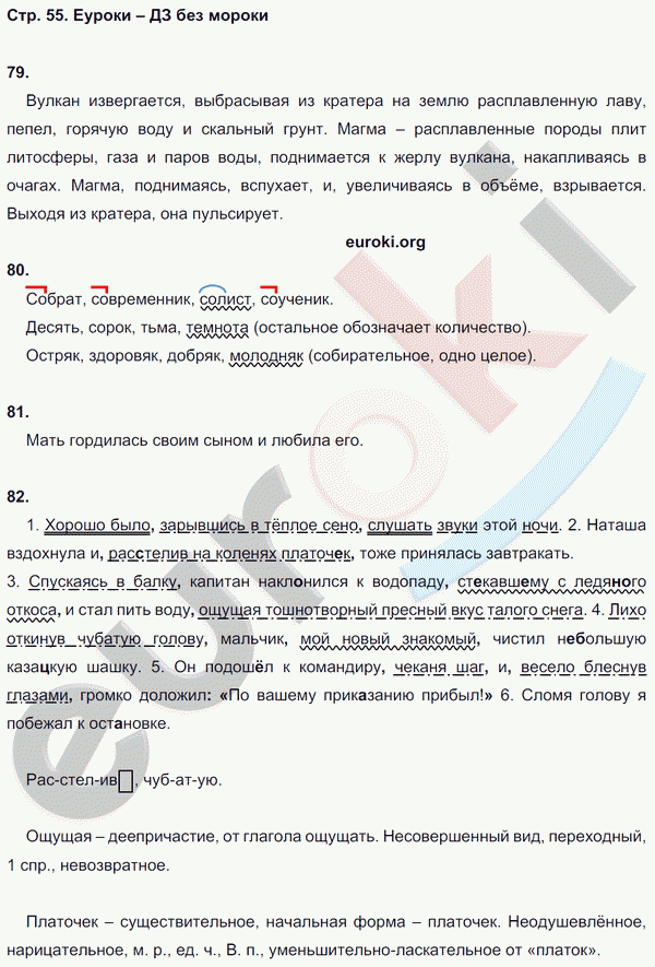 Рабочая тетрадь по русскому языку 8 класс Ефремова Страница 55