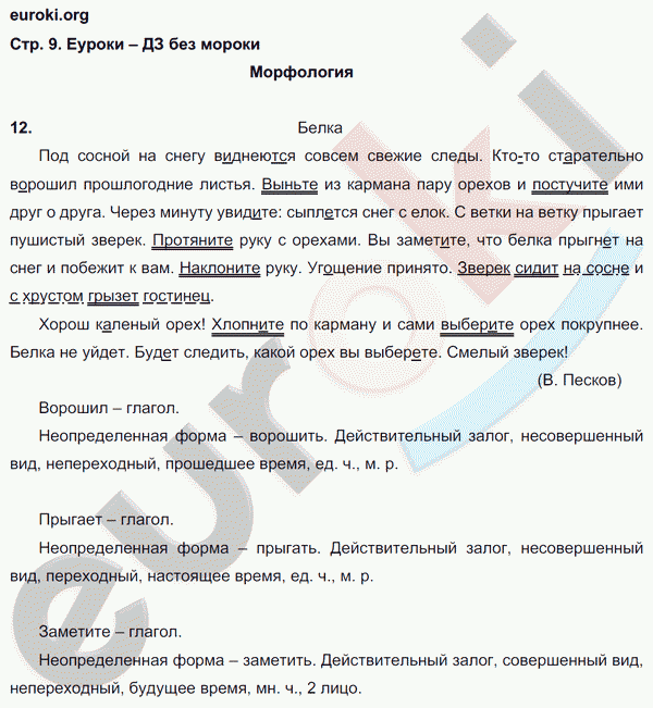 Рабочая тетрадь по русскому языку 8 класс Ефремова Страница 9