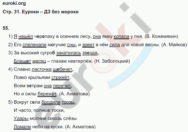 Рабочая тетрадь по русскому языку 5 класс Ефремова Страница 31