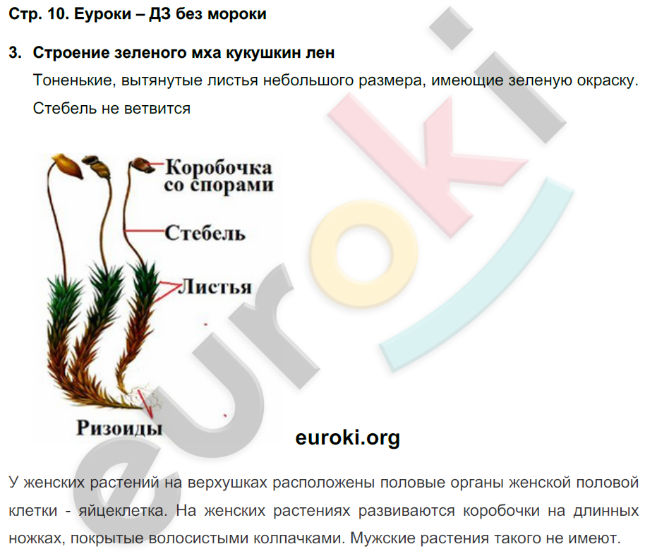 Тетрадь-практикум по биологии 7 класс. ФГОС Сухорукова Страница 10