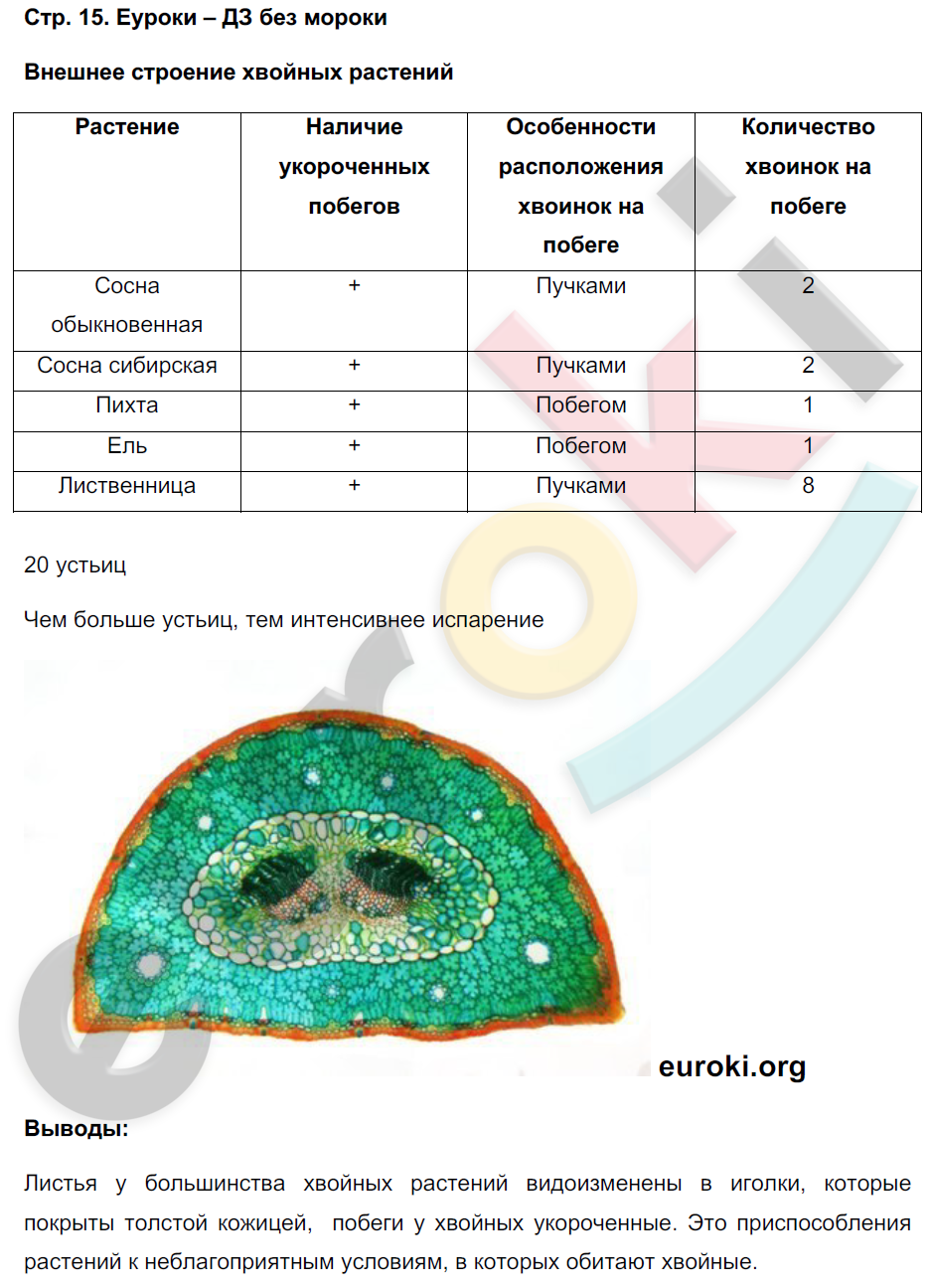 Тетрадь-практикум по биологии 7 класс. ФГОС Сухорукова Страница 15